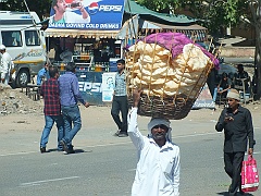 Jaipur (56)